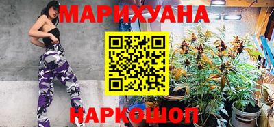 мдпв Новозыбков