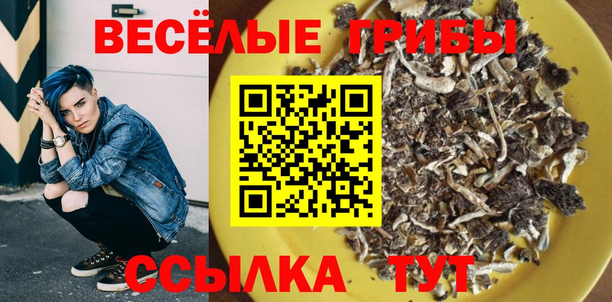 Псилоцибиновые грибы мицелий Узловая